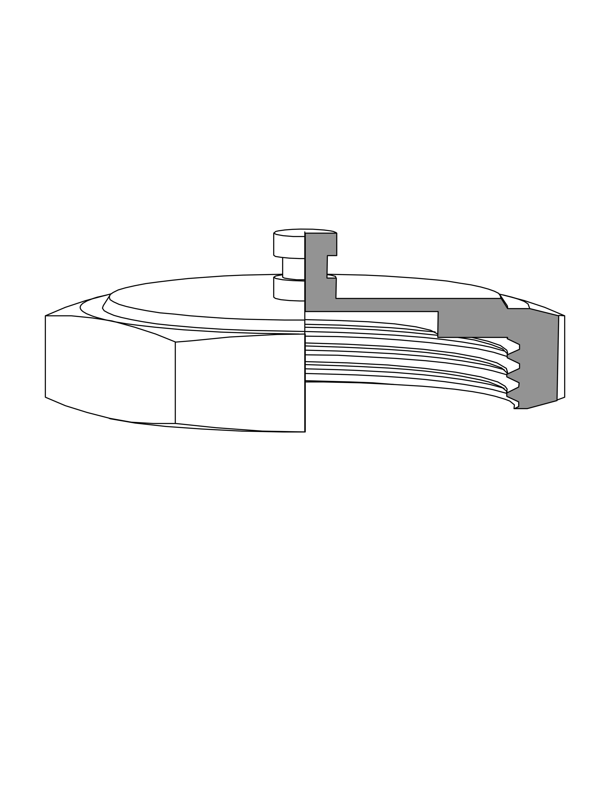 BSM Blank Nut
