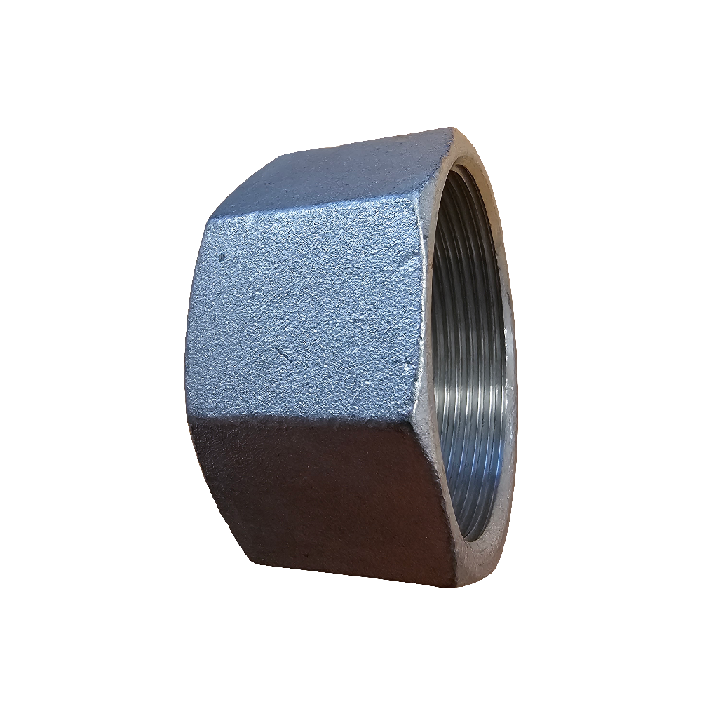 NPT Stainless Steel Cap