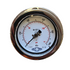 0-1000 kPa Hygienic Pressure Gauge 100mm