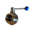 BSM Butterfly valve 316 Stainless