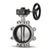 Table E Threaded Butterfly valve 304 Stainless with Gear Box